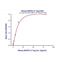 Immobilized Human BAFF, His Tag at 5 ug/mL (100 uL/well) can bind Mouse BAFFR, Fc Tag with a linear range of 0.3-13 ng/mL (QC tested).
