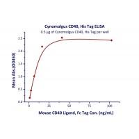 Immobilized Cynomolgus CD40, His Tag at 5 ug/mL (100 uL/well) can bind Mouse CD40 Ligand, Fc Tag with a linear range of 1-6.6 ng/mL (QC tested).