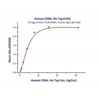 (1) Immobilized Anti-CD64 MAb, Human IgG1 at 5ug/mL (100 uL/well) can bind Human CD64, His Tag with a linear range of 0.5-4 ng/mL.(2) Measured by its ability to bind human IgG1 in the SPR assay (Biacore 2000) with the KD < 5 nM.