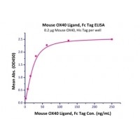 Immobilized Mouse OX40, His Tag at 2 ug/mL (100 uL/well) can bind Mouse OX40 Ligand, Fc Tag with a linear range of 2-30 ng/mL (QC tested).