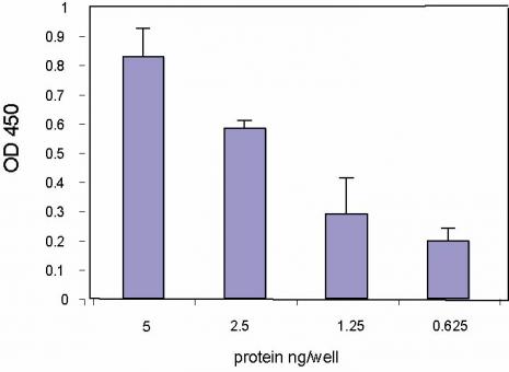 TransAM® standard curve generated using Recombinant c-Myc protein. The standard curve for TransAM® was generated using a range of 5-0. 625 ng of protein and run on the TransAM® c-Myc ELISA Kit.