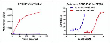 Recombinant p300 (1041-1161) activity using AlphaScreen. p300 (1041-1161) titration and inhibition were assessed using an AlphaScreen® assay. Titration curves were generated to show signal response in the presence of modified peptide substrate at increasing protein concentrations. An IC50 dose response assessment of reference compound JQ1 is also shown. This data was generated and kindly provided courtesy of ChemPartner.