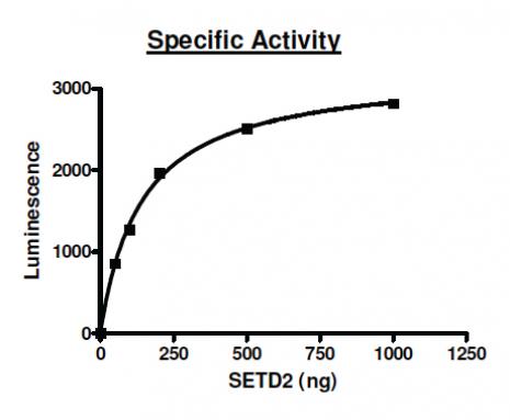 Set2 activity assay. Recombinant Set2 activity measured using a chemiluminescent methyltransferase assay.