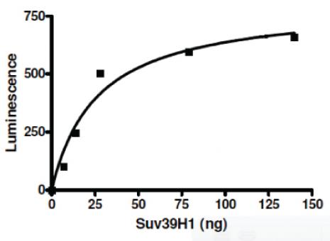 SUV39H1 activity assay. Recombinant SUV39H1 activity measured using a fluorescent histone H3 lysine 9 methyltransferase assay.