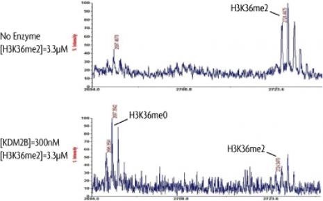 FBXL10 / KDM2B activity assay. Recombinant FBXL10 / KDM2B activity measured using a demethylation assay. MALDI-TOF was used for detection.
