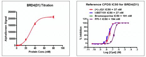 Recombinant BRD4 (44-168) activity using AlphaScreen. BRD4 (44-168) titration and inhibition were assessed using an AlphaScreen® assay. Titration curves were generated to show signal response in the presence of modified peptide substrate at increasing protein concentrations. An IC50 dose response assessment of reference compounds JQ1, I-BET151, Bromosporine an PFI-1 is also shown. This data was generated and kindly provided courtesy of ChemPartner.