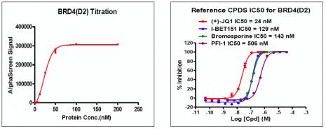Recombinant BRD4 (333-460) activity using AlphaScreen. BRD4 (333-460) titration and inhibition were assessed using an AlphaScreen® assay. Titration curves were generated to show signal response in the presence of modified peptide substrate at increasing protein concentrations. An IC50 dose response assessment of reference compounds JQ1, I-BET151, Bromosporine and PFI-1 is also shown. This data was generated and kindly provided courtesy of ChemPartner.