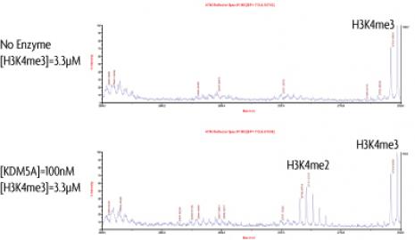 JARID1A / KDM5A activity assay. Recombinant JARID1A / KDM5A activity measured using a demethylation assay. MALDI-TOF was used for detection.