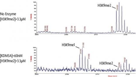 JMJD1A / KDM3A activity assay. Recombinant JMJD1A / KDM3A activity measured using a demethylation assay. MALDI-TOF was used for detection.