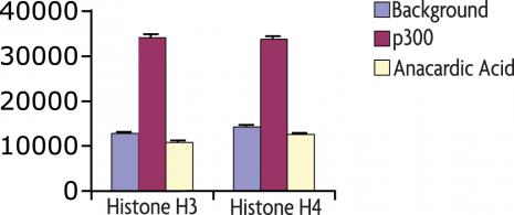 Recombinant p300 protein activity assay. p300 activity using the fluorescent HAT assay kit (Catalog No. 56100). p300 was tested on both histone H3 (residues 5-23 of human H3) and H4 peptide (residues 1-19 of human H4) substrates. p300 activity was inhibited by anacardic acid.