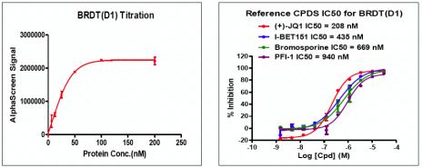 Recombinant BRDT (21-137) activity using AlphaScreen. BRDT (21-137) titration and inhibition were assessed using an AlphaScreen® assay. Titration curves were generated to show signal response in the presence of modified peptide substrate at increasing protein concentrations. An IC50 dose response assessment of reference compounds JQ1, I-BET151, Bromosporine and PFI-1 is also shown. This data was generated and kindly provided courtesy of ChemPartner.