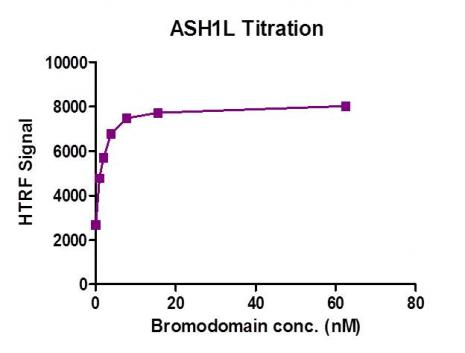 Recombinant ASH1L (2407-2579) activity assay. 3. 3 µM histone peptide H4K5/8/12/16(4ac) was incubated with ASH1L (2407-2579) in reaction buffer including 50 mM HEPES-NaOH pH 7. 0, 0. 1% BSA for 1 hour at room temperature. Anti-FLAG antibody was used to detect reaction products.