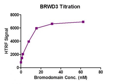 Recombinant BRWD3 (1295-1443) HTRF activity assay. 3. 3 µM histone peptide H4K5/8/12/16 (4Ac) was incubated with BRWD3 (1295-1443) in reaction buffer including 50 mM HEPES-NaOH pH 7. 0, 0. 1% BSA for 1 hour at room temperature. Anti-FLAG antibody was used to detect reaction products.