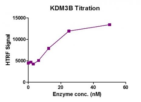 Recombinant JMJD1B / KDM3B protein activity assay. 3. 3 μM H3K9me2 peptide was incubated with recombinant JMJD1B / KDM3B protein in reaction buffer for 1 hours at room temperature. JMJD1B / KDM3B enzyme was used in a HTRF assay to determine enzyme linearity. Demethylated peptide (H3K9me0) was measured using H3K9me0-specific antibody.