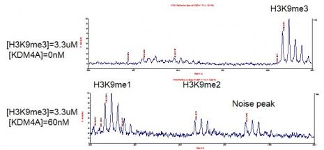 JMJD2A / KDM4A activity assay. 3. 3 µM H3K9me3 peptide was incubated with 60 nM JMJD2A / KDM4A in reaction buffer for 2 hours at room temperature. The reaction product was detected by MALDI-TOF. Single 3. 3 µM H3K9me3 peptide was used as negative control.