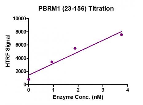 HTRF Assay for Recombinant PBRM1 (23-156) protein activity. 3 µM histone peptide H4K5/8/12/16 (4Ac) was incubated with PBRM1 (23-156) protein in reaction buffer including 50mM HEPES-NaOH pH 7. 0, 0. 1% BSA overnight at room temperature. Anti-Flag antibody was used to detect reaction products.
