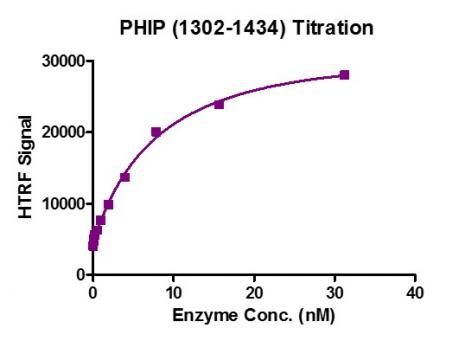 HTRF assay for Recombinant PHIP (1302-1434) protein activity. 3 µM histone peptide H4K5/8/12/16 (ac4) was incubated with PHIP (1302-1434) in reaction buffer including 50 mM HEPES-NaOH pH 7. 0, 0. 1% BSA for 1 hour at room temperature. Anti-FLAG antibody was used to detect reaction products.