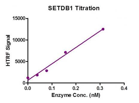 HTRF assay for Recombinant SETDB1 protein activity . 3 µM histone peptide H3 (1-21) was incubated with SETDB1 in reaction buffer including 50 mM Tris-HCl pH 8. 6, 0. 02% Triton X-100, 2 mM MgCl2, 1 mM TCEP and 50 µM SAM for 3 hours at room temperature. Anti-H3K9me2 antibody was used to detect reaction product.