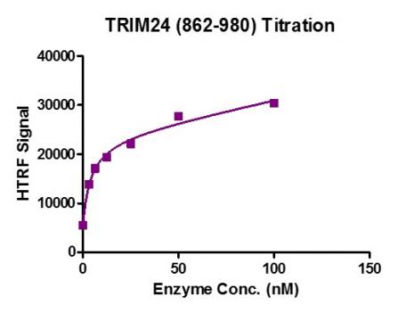 HTRF Assay for Recombinant TRIM24 (862-980) activity. 3 µM histone peptide H3K14ac was incubated with TRIM24 (862-980) protein in reaction buffer including 50 mM HEPES-NaOH pH 7. 0, 0. 1% BSA for 1 hour at room temperature. Anti-Flag antibody was used to detect reaction products.
