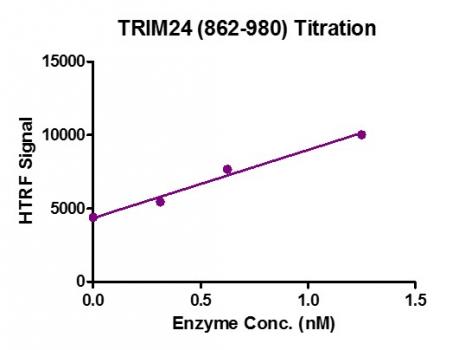HTRF Assay for Recombinant TRIM24 (862-980) activity. 3 µM histone peptide H3K14ac was incubated with TRIM24 (862-980) protein in reaction buffer including 50 mM HEPES-NaOH pH 7. 0, 0. 1% BSA for 1 hour at room temperature. Anti-Flag antibody was used to detect reaction products.