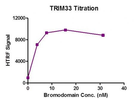 Recombinant TRIM33 (959-1069) protein HTRF activity assay. 3. 3 µM histone peptide H4K5/8/12/16(4Ac) was incubated with TRIM33 (959-1069) in reaction buffer including 50 mM HEPES-NaOH pH 7. 0, 0. 1% BSA for 1 hour at room temperature. Anti-FLAG antibody was used to detect reaction products.