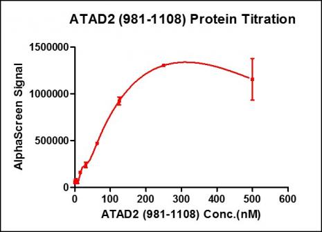 Recombinant ATAD2 (981-1108) activity using AlphaScreen. ATAD2 (981-1108) titration was assessed using an AlphaScreen® assay . Titration curves were generated to show signal response in the presence of modified peptide substrate at increasing protein concentrations. This data was generated and kindly provided courtesy of ChemPartner.