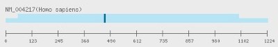 RNAi sequence position: Aurora B RNAi [H00009212-R01V]